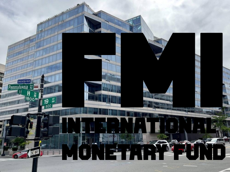 FMI - INTERNATIONAL MONETARY FUND