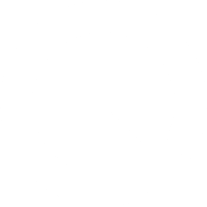 QLANG LOGO